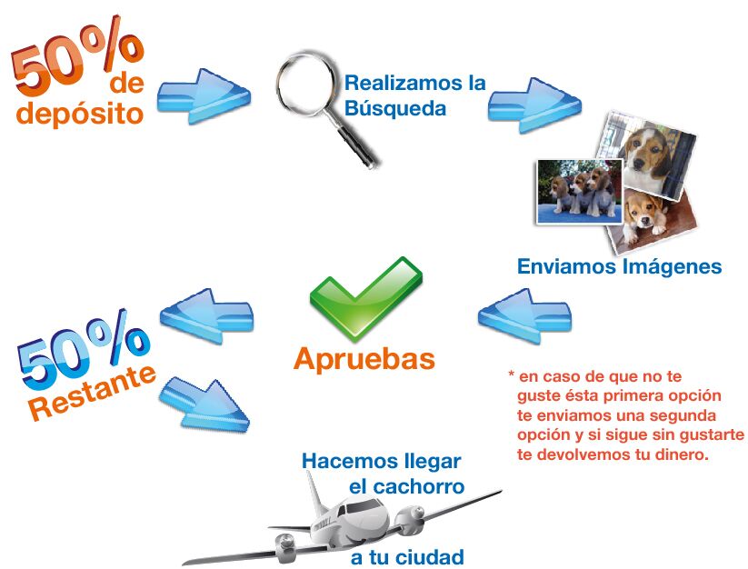 Hacer pedido